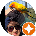 Syafa Jalal Syafa Jalal
