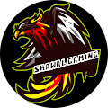 SHAWAL GAMING SHAWAL GAMING