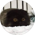 Kwan Fifi (Fifi) Kwan Fifi (Fifi)